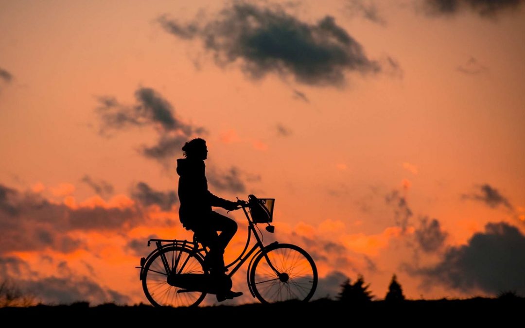 ¿Cuáles han sido las 5 bicis más populares del verano?