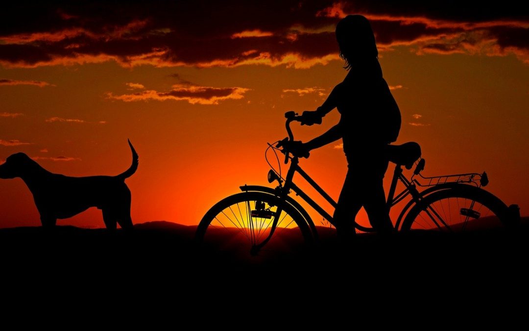 5 rutas navideñas con tu bici