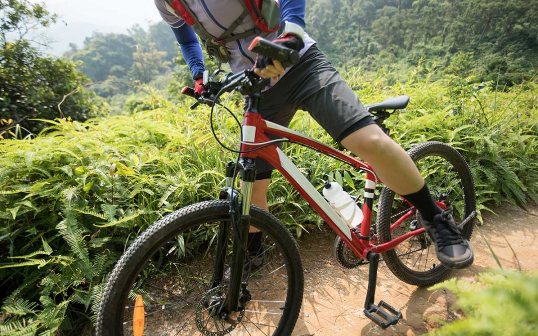Las mejores rutas Navideñas para hacer con la Bici